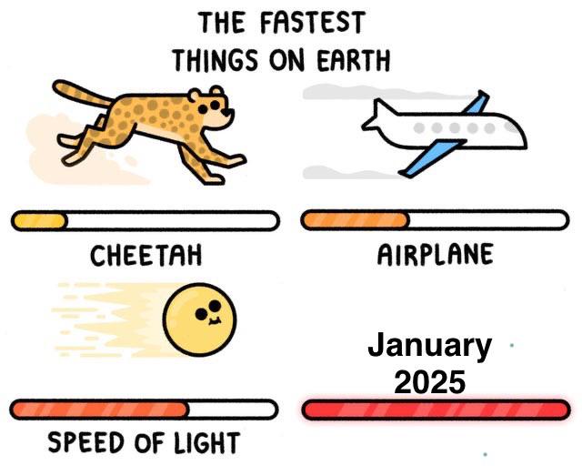 Illustrated meme showing comparison of fastest things: cheetah, airplane, speed of light, and January 2025 with progress bars.