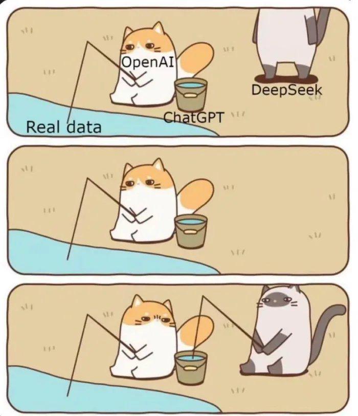 Cartoon of a cat labeled OpenAI fishing for Real data with ChatGPT bucket, another cat labeled DeepSeek watching.