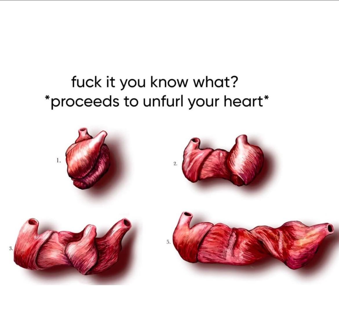 Illustration showing a sequence of a heart unfurling with text 'fuck it you know what? *proceeds to unfurl your heart*'.