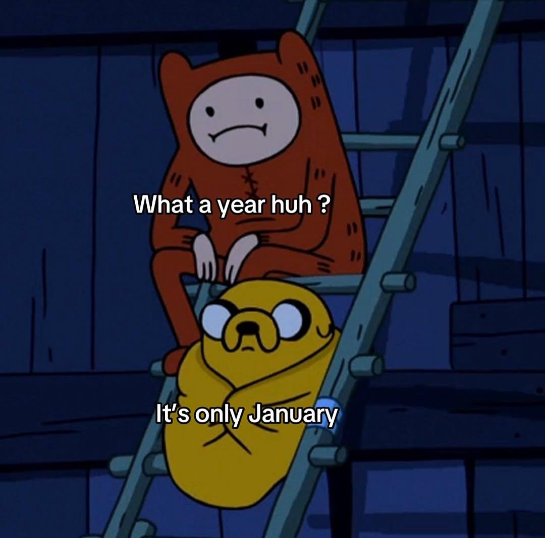 Cartoon characters Finn and Jake sitting on stairs. Finn says 'What a year huh?' and Jake replies 'It's only January'.