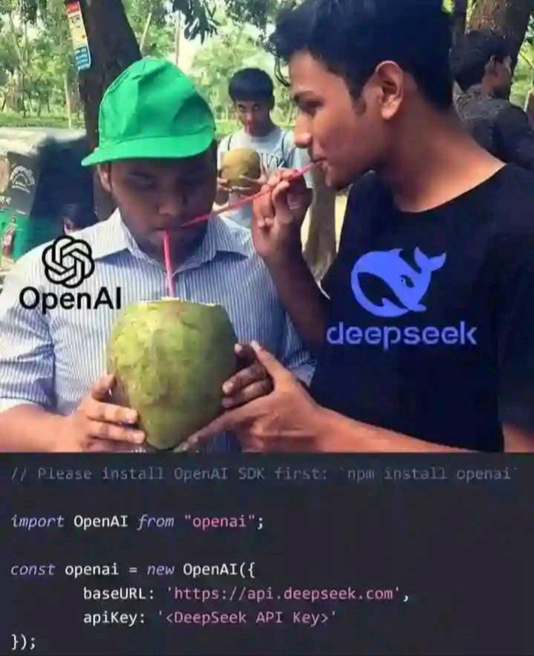 Two people drinking coconut water; one with OpenAI logo, another with DeepSeek logo. Below shows a code snippet with OpenAI and DeepSeek references.