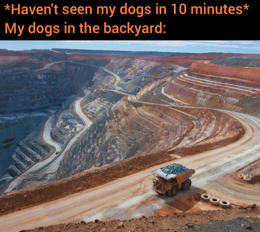 GIF: Dogs Digging Adventure Meme - Epic dog digging meme! Picture this: left your pups for 10 mins and find a backyard mine. This legendary meme captures dogs living their best digging life!