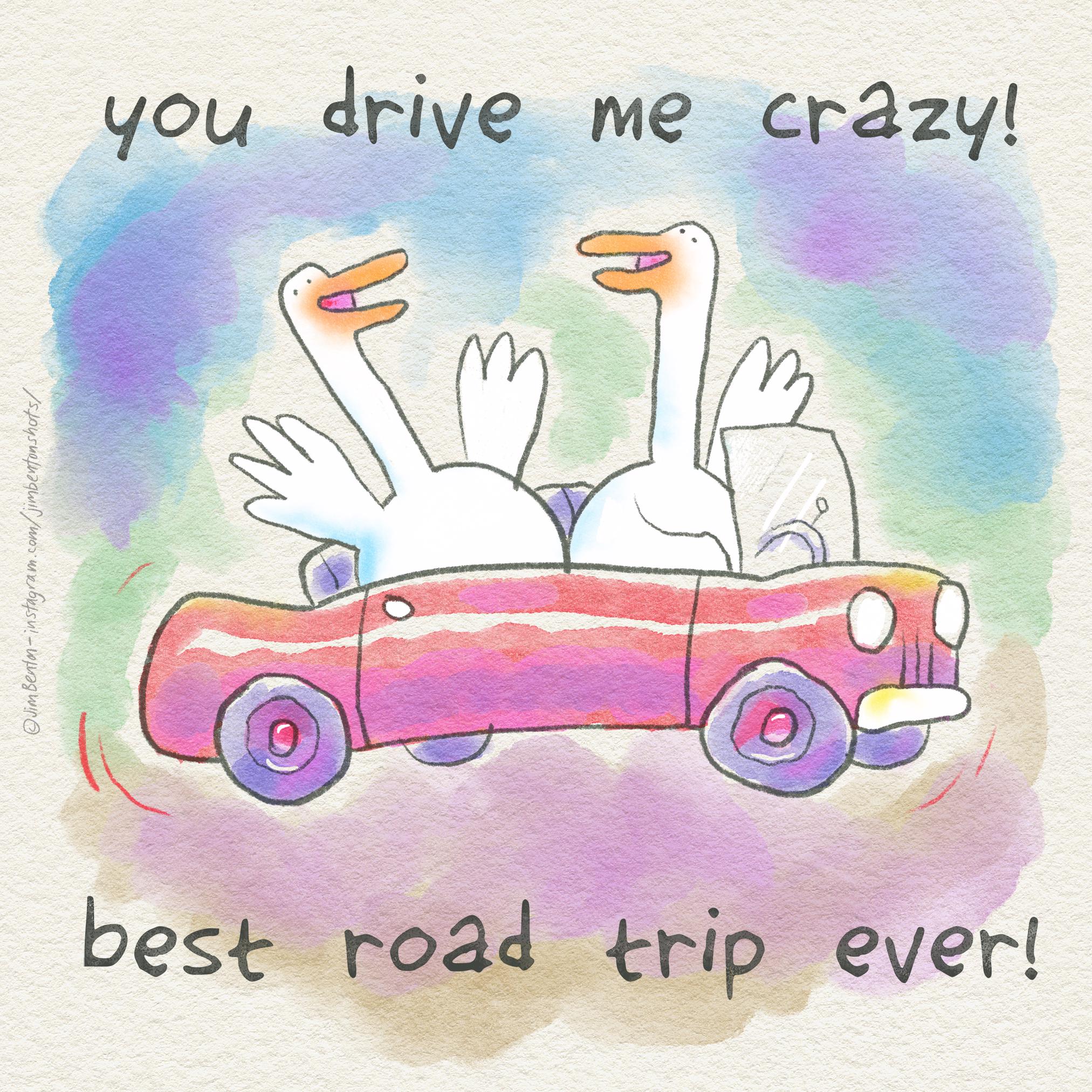 Two cartoon geese in a red convertible, one driving and honking, with text saying 'you drive me crazy! best road trip ever!'