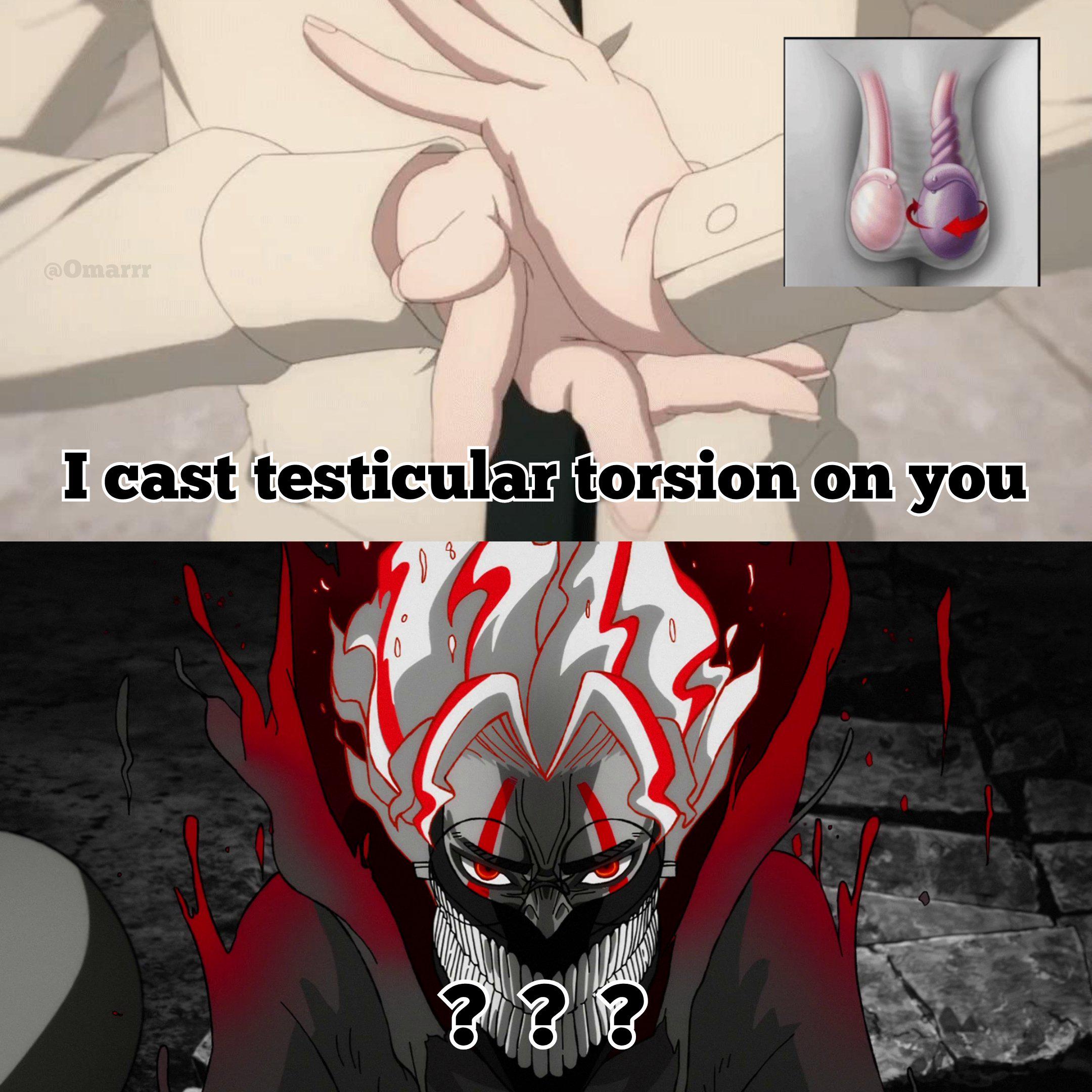 Top: Person forming spell-like hands with text 'I cast testicular torsion on you'. Bottom: Anime character with fiery hair and question marks.