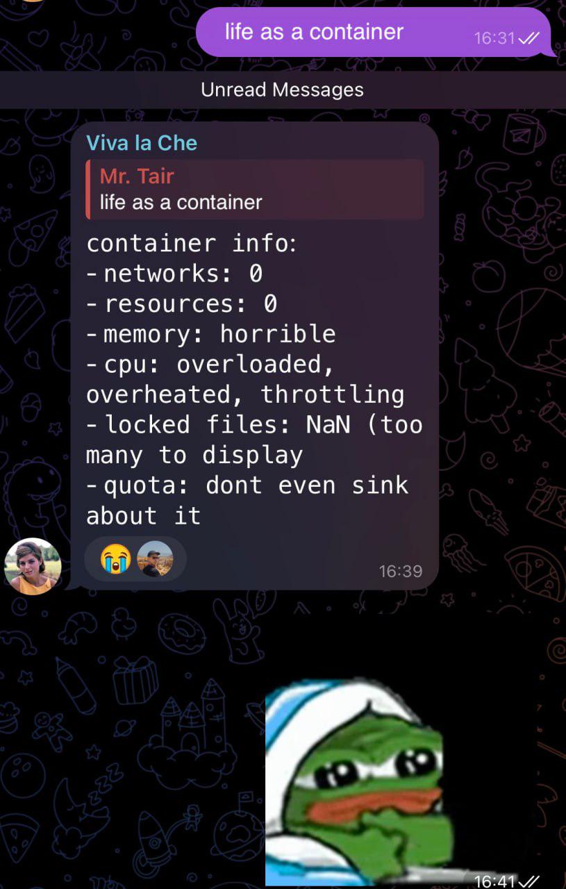 A chat message about 'life as a container' showing humorous system stats with a sad Pepe the Frog image below.