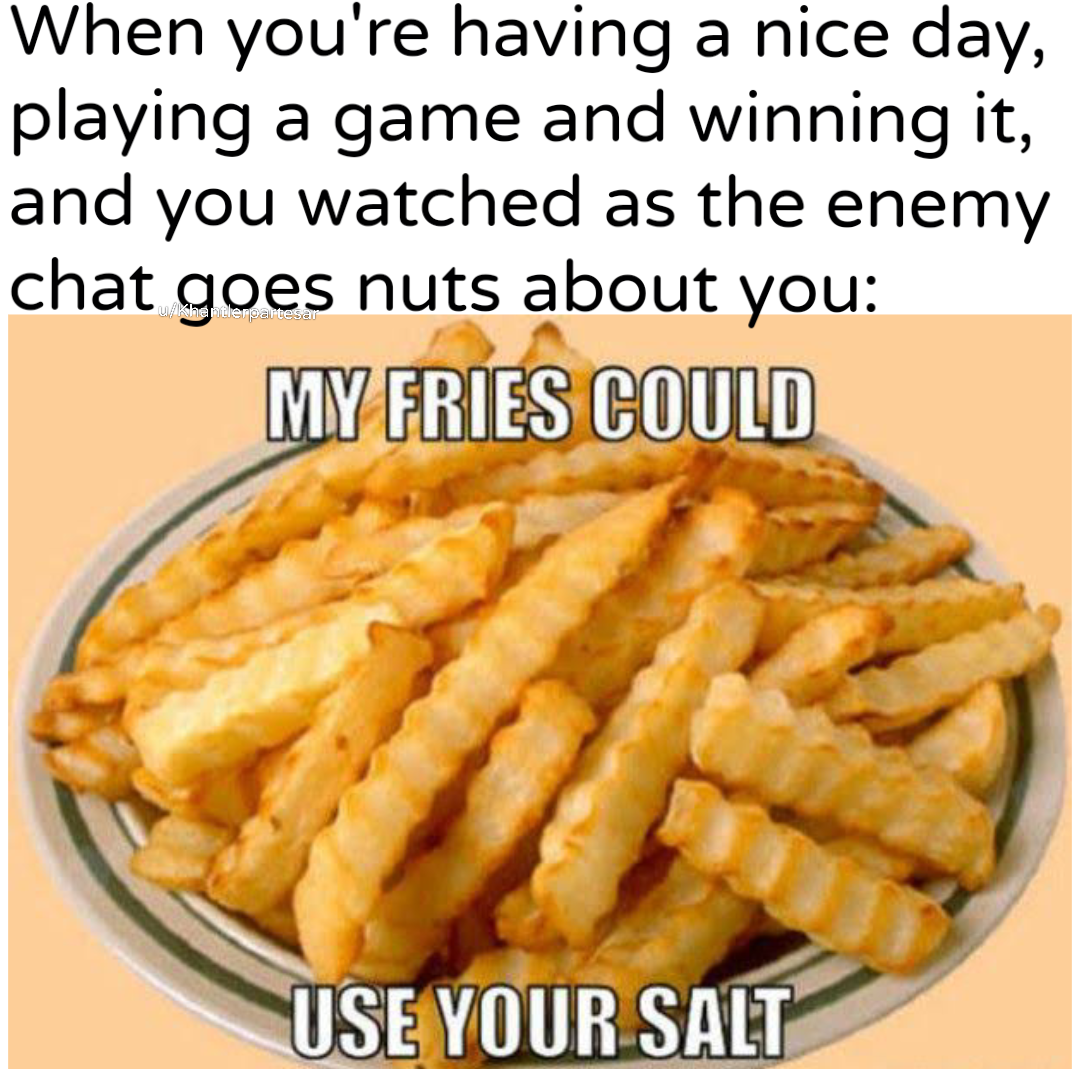 Crinkle cut fries on a plate with text 'My fries could use your salt'. Caption above: 'When you're having a nice day, playing a game and winning it, and you watched as the enemy chat goes nuts about you:'