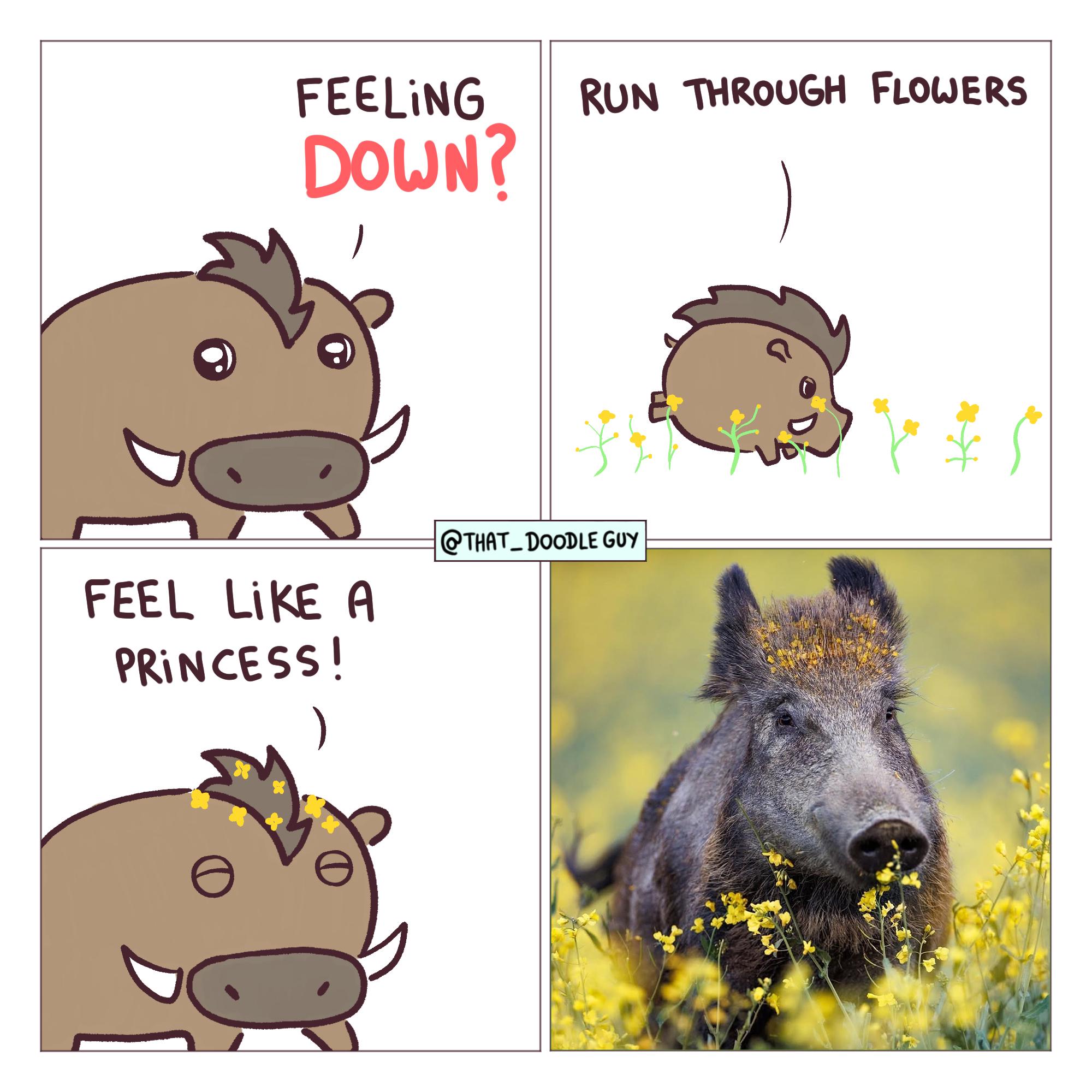 Cartoon warthog feeling down, runs through flowers, turns into real warthog with flowers on head, text reads 'Feeling Down? Run Through Flowers. Feel Like a Princess!'